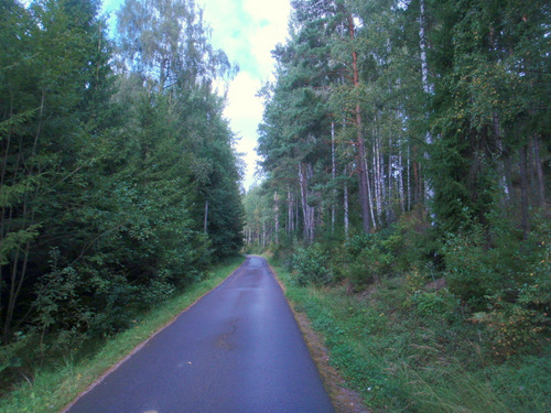 Paved Forest Road.